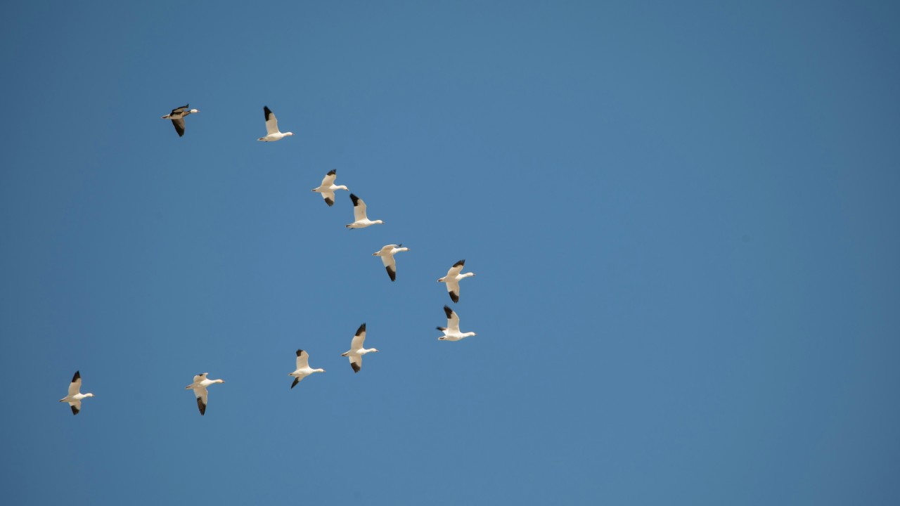 Secure Cloud Migration: A Comprehensive Guide